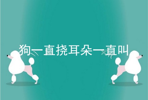 狗一直挠耳朵一直叫