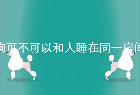 狗可不可以和人睡在同一房间