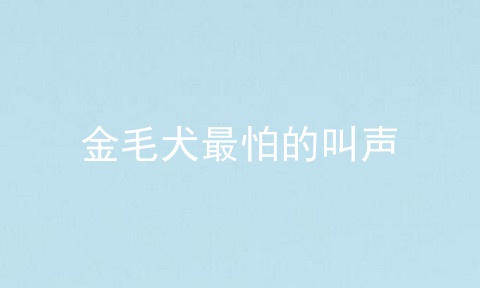 金毛犬最怕的叫声