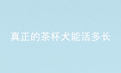 真正的茶杯犬能活多长
