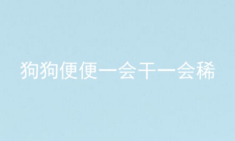 狗狗便便一会干一会稀