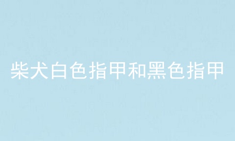 柴犬白色指甲和黑色指甲