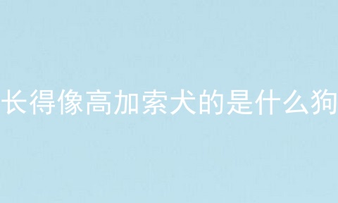 长得像高加索犬的是什么狗