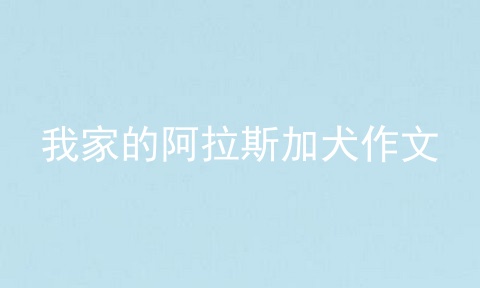 我家的阿拉斯加犬作文