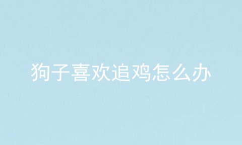狗子喜欢追鸡怎么办