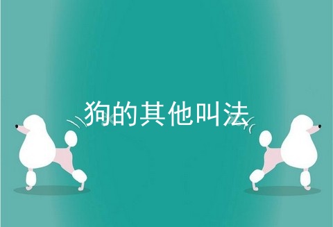 狗的其他叫法