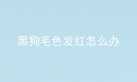 黑狗毛色发红怎么办