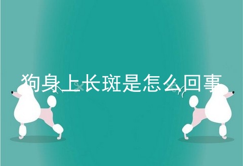 狗身上长斑是怎么回事