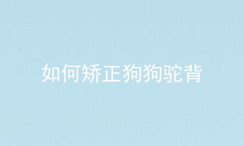 如何矫正狗狗驼背