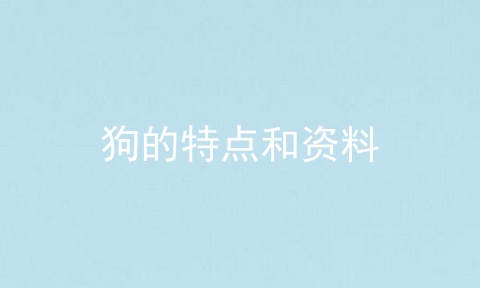 狗的特点和资料