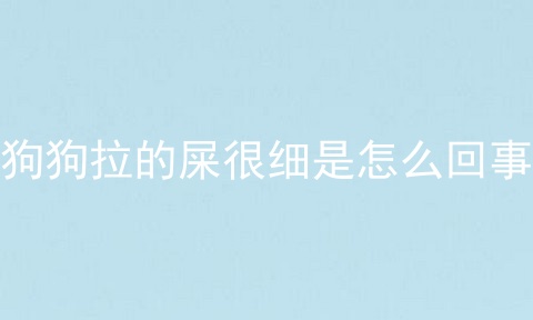 狗狗拉的屎很细是怎么回事