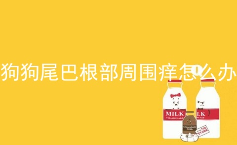 狗狗尾巴根部周围痒怎么办