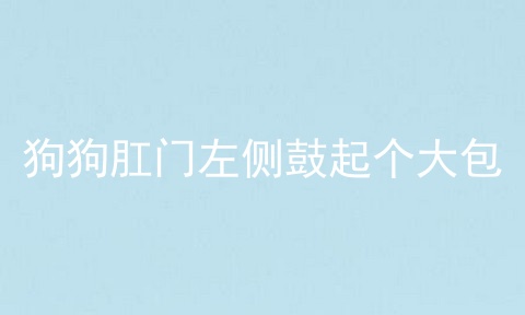 狗狗肛门左侧鼓起个大包