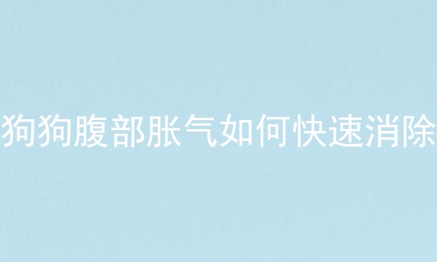 狗狗腹部胀气如何快速消除