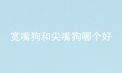 宽嘴狗和尖嘴狗哪个好