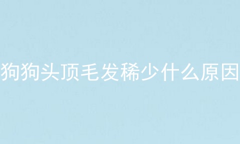 狗狗头顶毛发稀少什么原因
