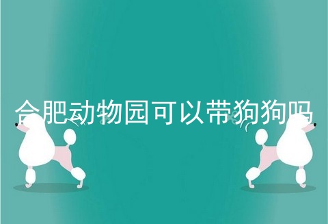 合肥动物园可以带狗狗吗