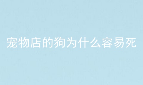 宠物店的狗为什么容易死