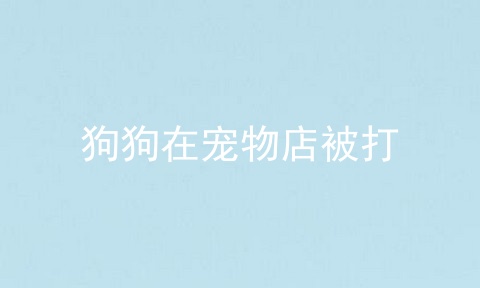狗狗在宠物店被打