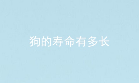 狗的寿命有多长
