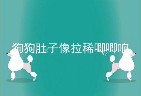 狗狗肚子像拉稀唧唧响
