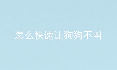 怎么快速让狗狗不叫