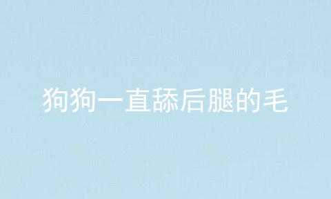 狗狗一直舔后腿的毛
