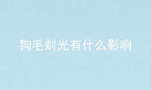 狗毛剃光有什么影响