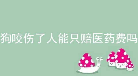 狗咬伤了人能只赔医药费吗