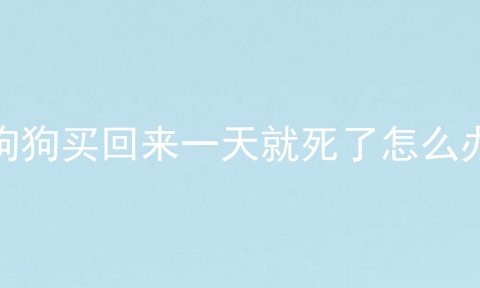 狗狗买回来一天就死了怎么办