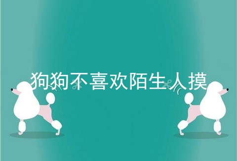 狗狗不喜欢陌生人摸