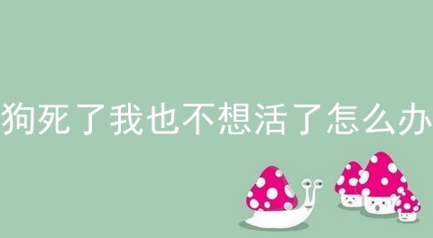 狗死了我也不想活了怎么办