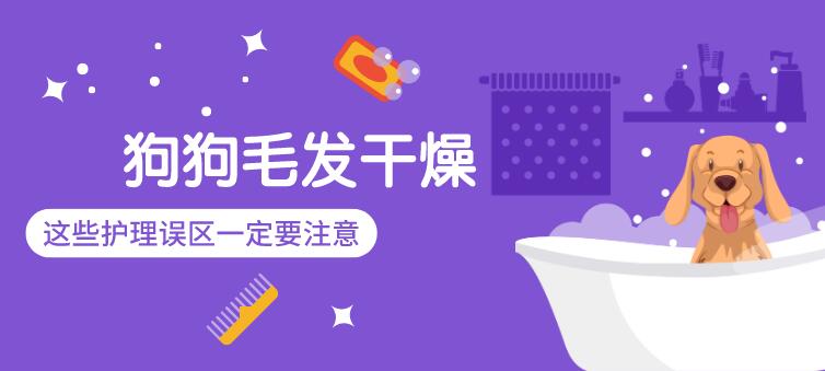 狗狗的毛发干燥且会掉毛，该怎么改善这种情况？